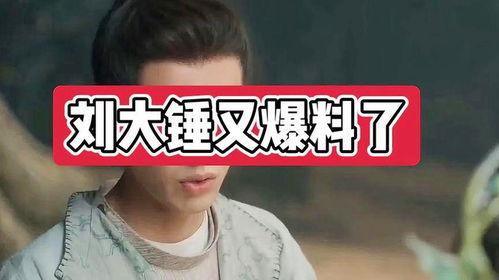 刘大锤爆料男团视频,男团幕后花絮大揭秘 第2张 刘大锤爆料男团视频,男团幕后花絮大揭秘 第2张