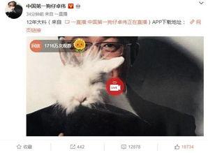 泳池事件爆料视频大全最新,揭秘惊人真相与幕后黑幕 第3张 泳池事件爆料视频大全最新,揭秘惊人真相与幕后黑幕 第3张
