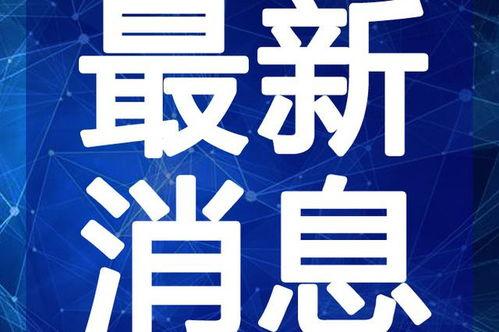 大连服装厂爆料视频最新,揭秘行业黑幕，工人权益遭忽视