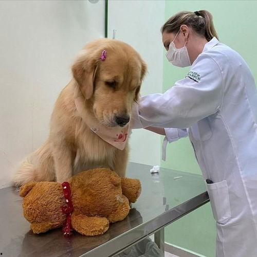 巴哥线索爆料了吗视频在线观看,独家揭秘，在线观看不容错过