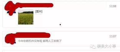 最新爆料图片怎么做,图片背后的惊人真相！  第3张