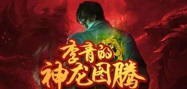 神龙李青爆料视频大全集,揭秘娱乐圈幕后真相  第2张