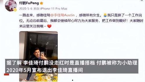 付鹏爆料李佳琦视频,揭秘网红直播背后的秘密  第3张
