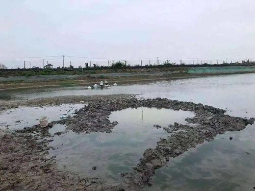 博主来爆料大结局视频在线观看,博主独家爆料视频在线观看 第3张 博主来爆料大结局视频在线观看,博主独家爆料视频在线观看 第3张