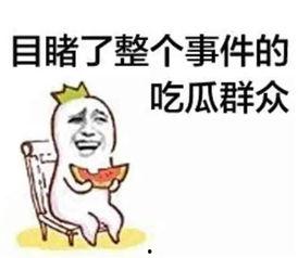 娱乐吃瓜酱生日文案搞笑,笑料横飞，瓜果飘香！  第2张