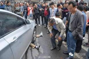 海丰爆料网碰瓷新闻最新,真相与反思 第1张 海丰爆料网碰瓷新闻最新,真相与反思 第1张