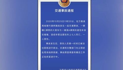 徐州金鹰爆料事件最新进展,最新进展揭示惊人内幕 第3张 徐州金鹰爆料事件最新进展,最新进展揭示惊人内幕 第3张