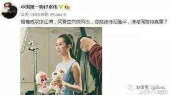娱乐吃瓜刘诗诗,娱乐圈的甜蜜瓜果,甜蜜人生 第2张 娱乐吃瓜刘诗诗,娱乐圈的甜蜜瓜果,甜蜜人生 第2张