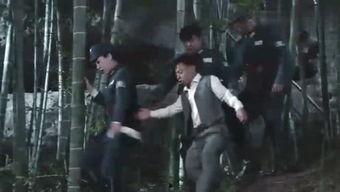 爆料刘哥历史视频,从历史视频看其传奇人生  第2张