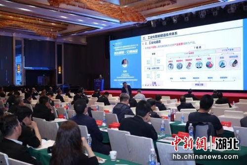 武汉学术会议爆料新闻,颠覆传统认知 第1张 武汉学术会议爆料新闻,颠覆传统认知 第1张