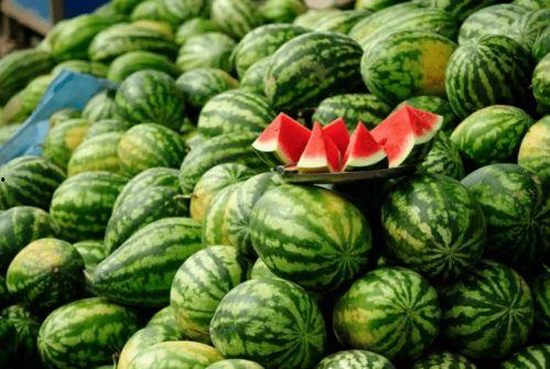 康县网红吃瓜,揭秘当地美食背后的故事  第3张