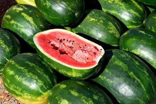 免费吃瓜叫卖视频下载  第3张