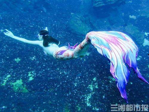 长沙美人鱼爆料视频,水下奇观引发热议  第2张