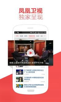凤凰新闻 大庆爆料电话,民众心声直通政府，凤凰新闻助力监督与改善