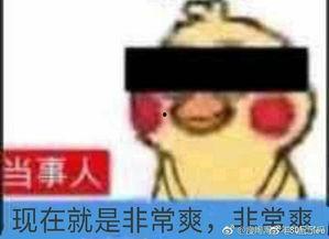 这几年吃的娱乐瓜叫什么,盘点近年热门娱乐瓜  第3张