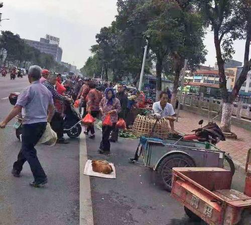 东湖爆料霸凌事件视频