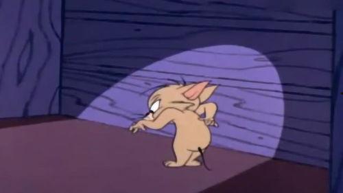 超萌爆料杰瑞女友视频下载,超萌瞬间引网友热议，下载热潮席卷而来