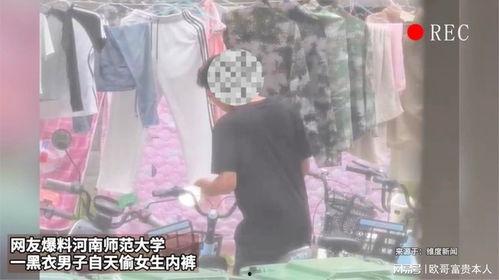 河南爆料女孩视频大全最新,揭秘网络热点背后的真相 第3张 河南爆料女孩视频大全最新,揭秘网络热点背后的真相 第3张