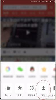 吃瓜快进视频下载安装免费,免费下载安装视频神器揭秘 第3张 吃瓜快进视频下载安装免费,免费下载安装视频神器揭秘 第3张