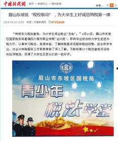 美国税局最新爆料新闻,揭秘巨额逃税案件及内部调查进展  第2张