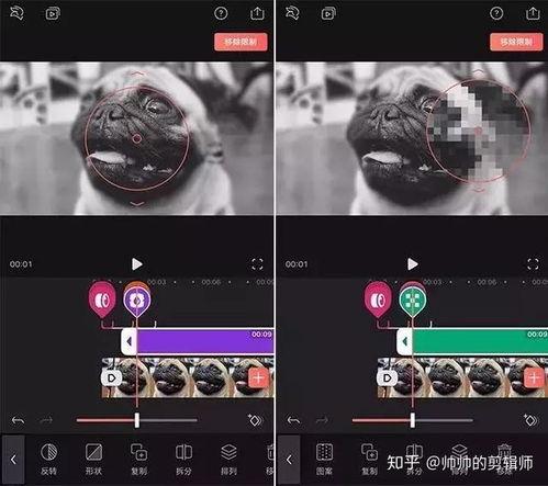 怎样爆料大咖视频剪辑软件,轻松制作惊艳短视频的秘诀  第2张
