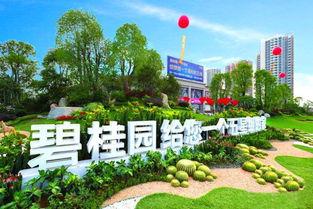 沧州碧桂园最新爆料,匠心独运，品质生活新篇章  第2张