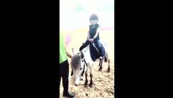 太子爷爆料二驴视频在线观看,二驴视频在线观看背后的故事 第3张 太子爷爆料二驴视频在线观看,二驴视频在线观看背后的故事 第3张