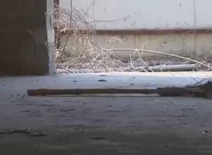 烂尾楼新闻爆料热线,揭秘背后真相与解决方案  第2张